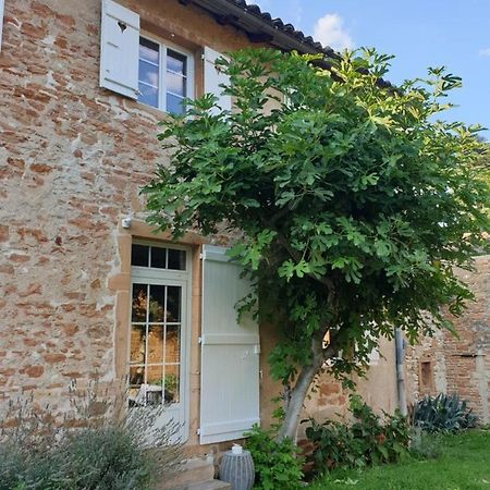 Le Gite Du Carge D'Arlay Charnay-lès-Mâcon المظهر الخارجي الصورة