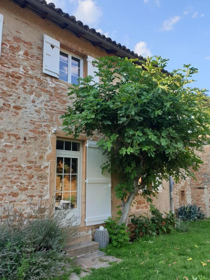 Le Gite Du Carge D'Arlay Charnay-lès-Mâcon المظهر الخارجي الصورة